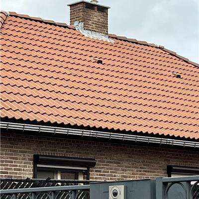 Schoorsteenrenovatie in Berendrecht - NA de werken